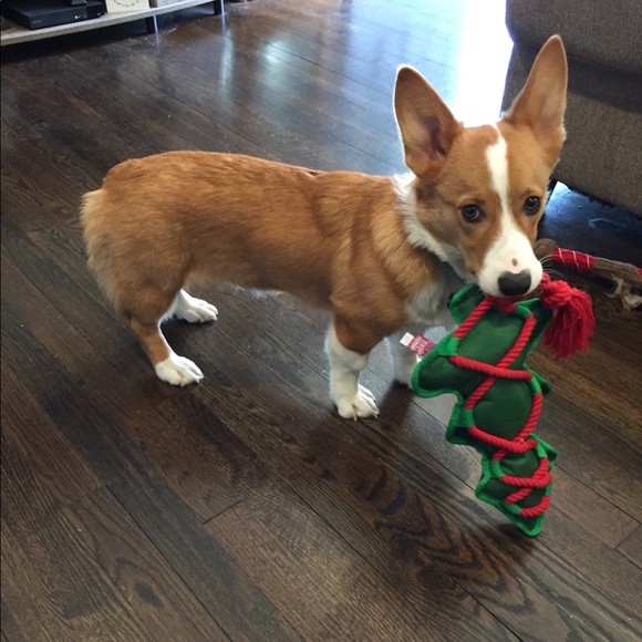 Meet the staff & the Poshing Peach ๐ค๐ - Picture 6 of 8